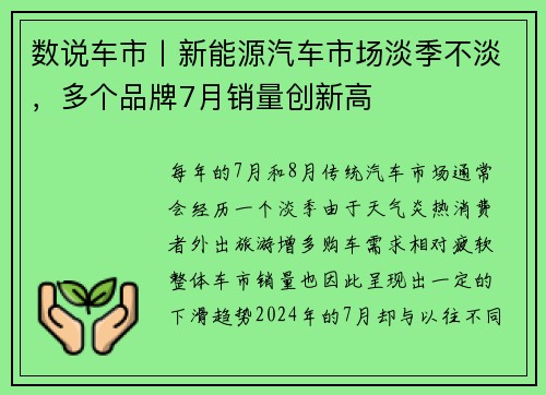 数说车市丨新能源汽车市场淡季不淡，多个品牌7月销量创新高